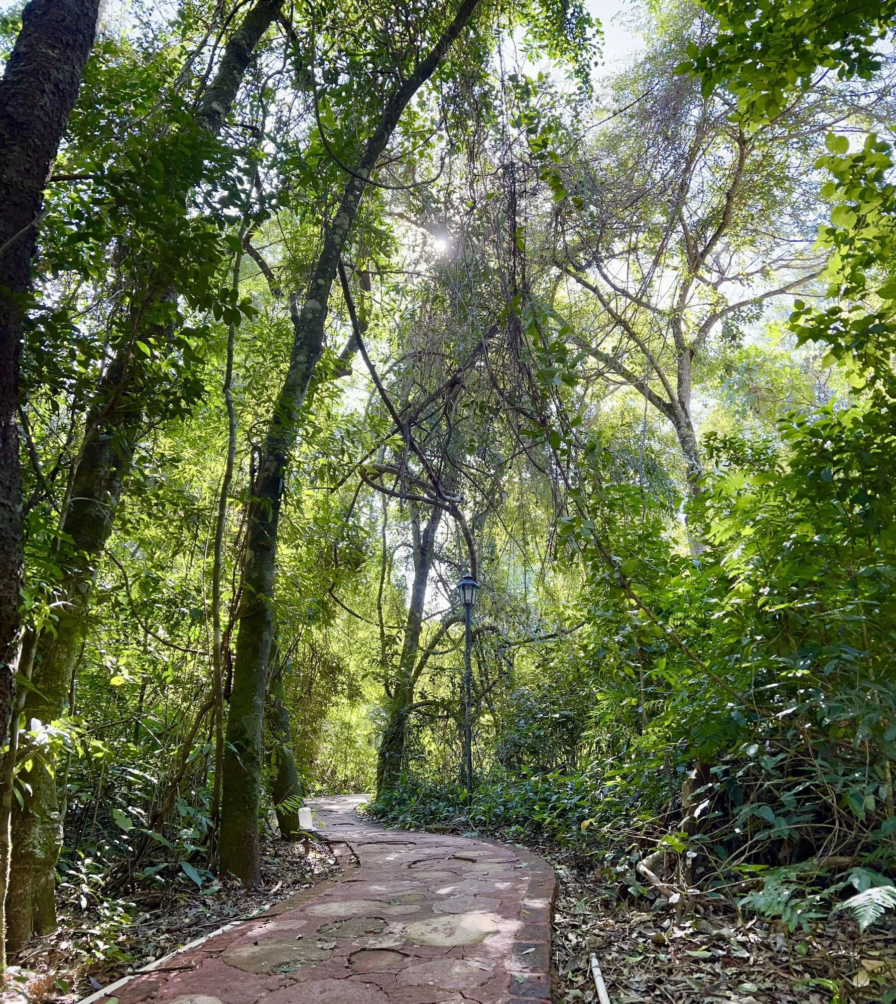 Habitación Rainforest Hotel & Cabañas