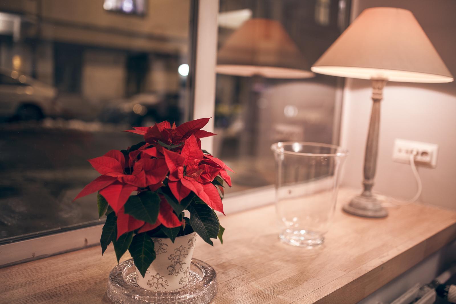 Vista Lobby Hotel Anna