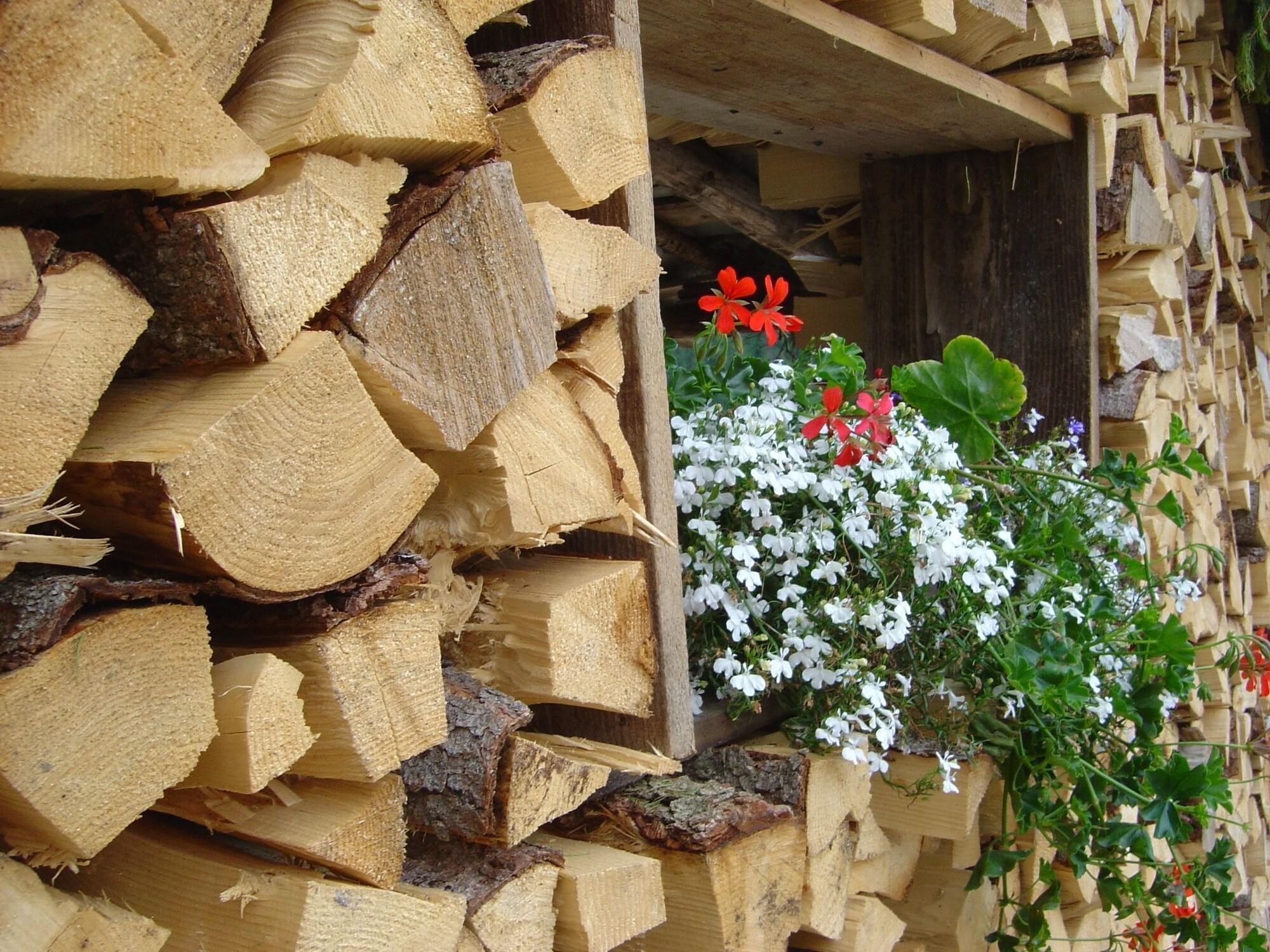 Vista Exterior Hotel Savoia
