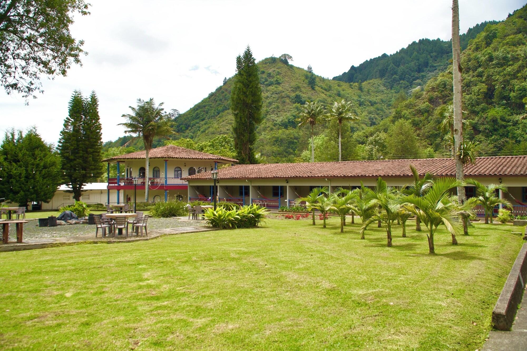 Varios Dreamer Cocora