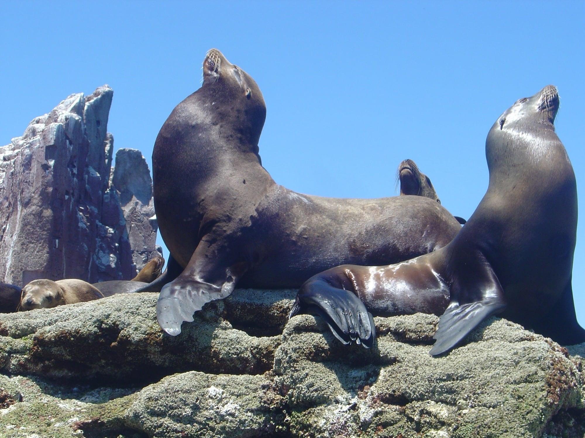 Instalaciones Recreativas Hotel Hacienda Bugambilias La Paz & Centro de Convenciones