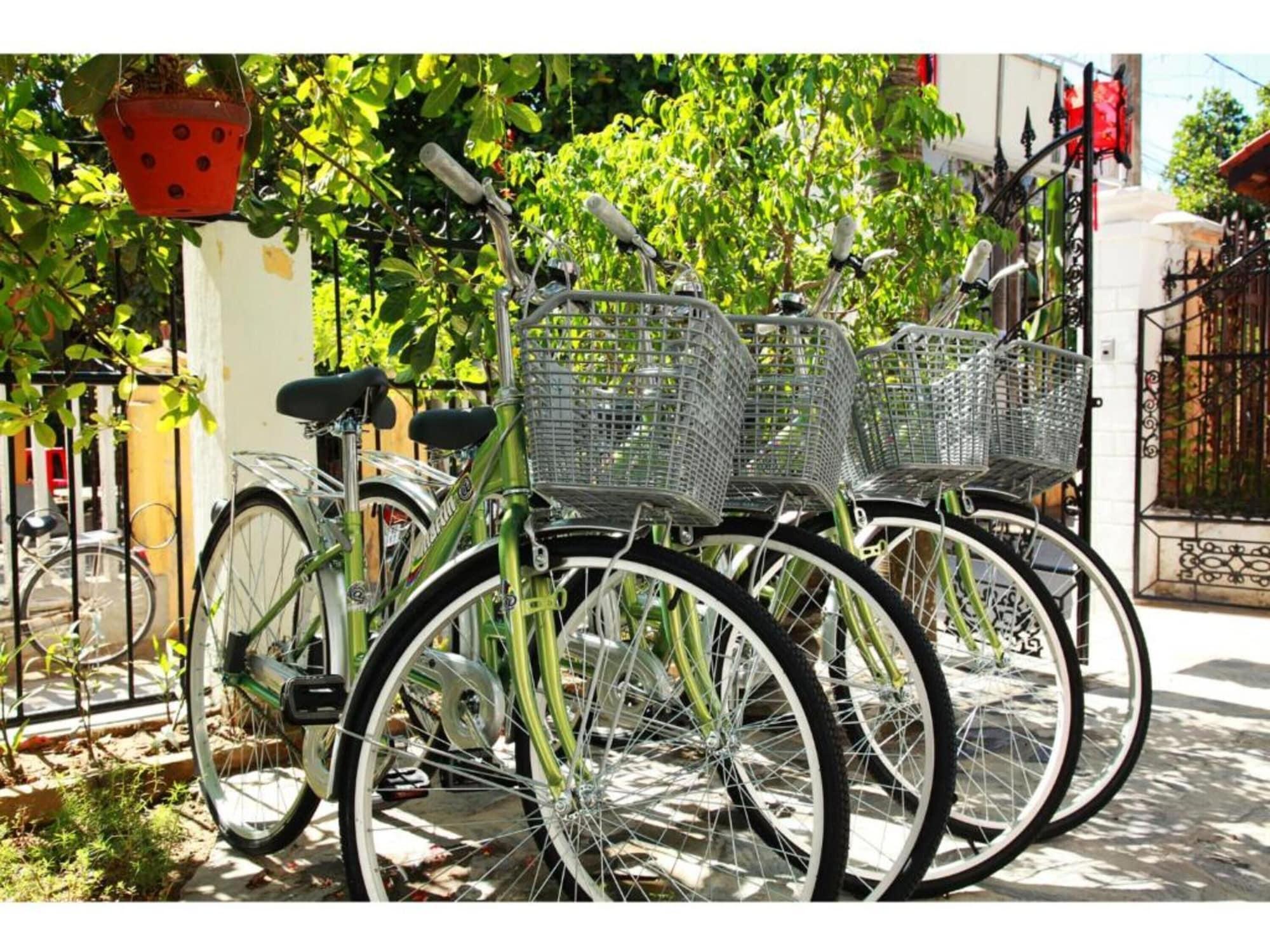 Varios Sunny Garden Homestay