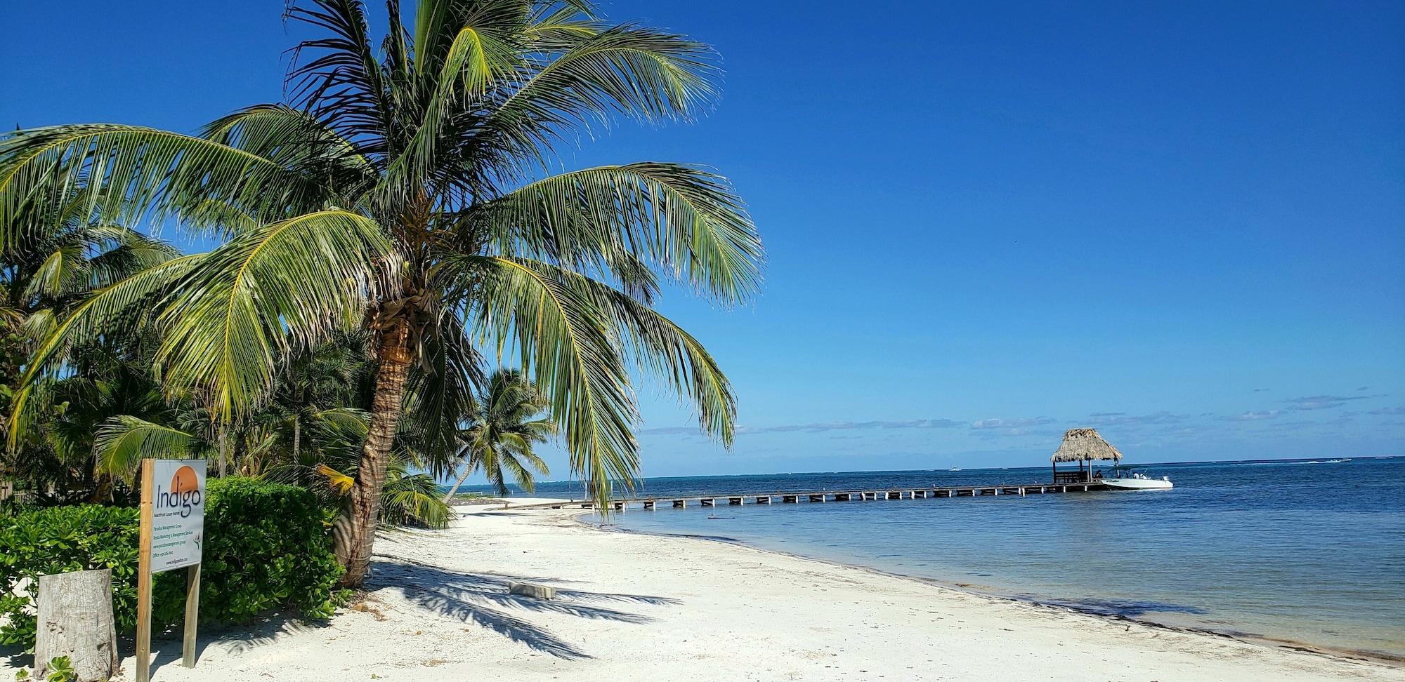 Playa Indigo Belize 4B 3 Bedroom Condo by RedAwning
