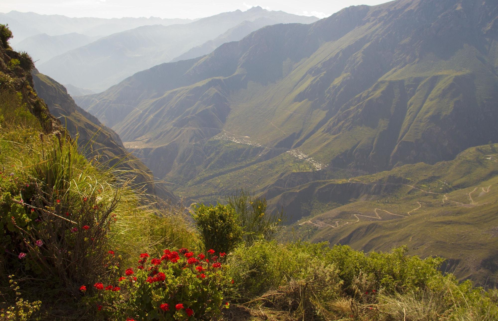 Varios La Granja del Colca