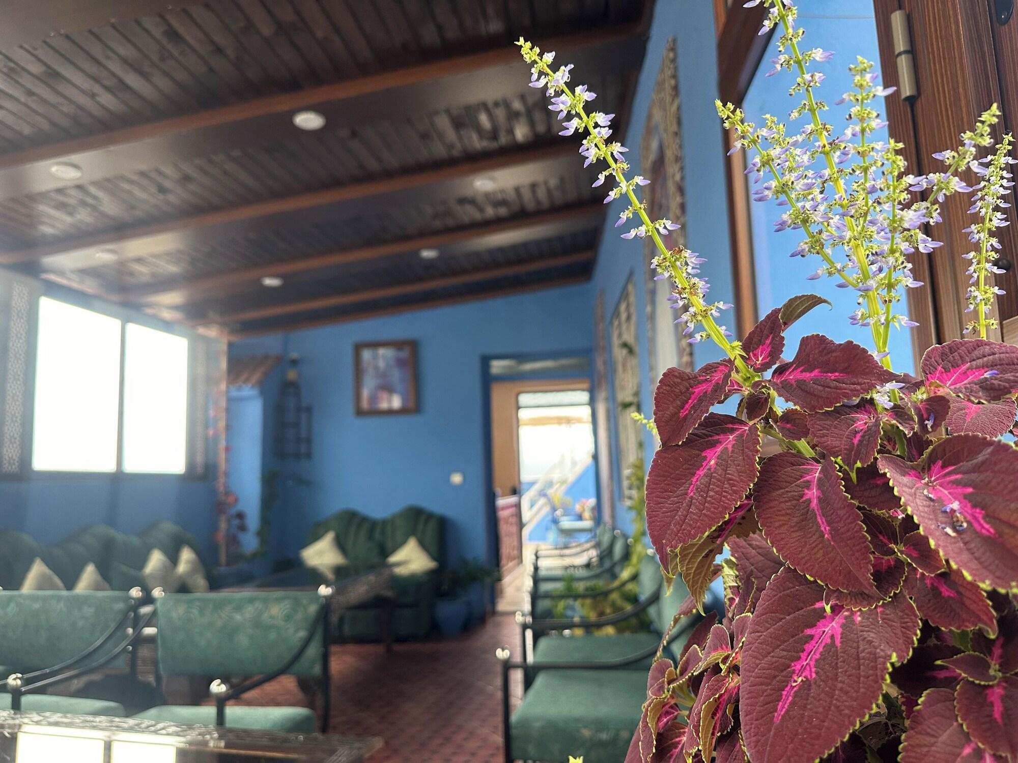 Varios Maison D'hôtes Afassi