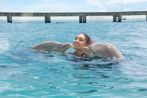 Actividad - Isla Mujeres: Dolphin Royal Connection