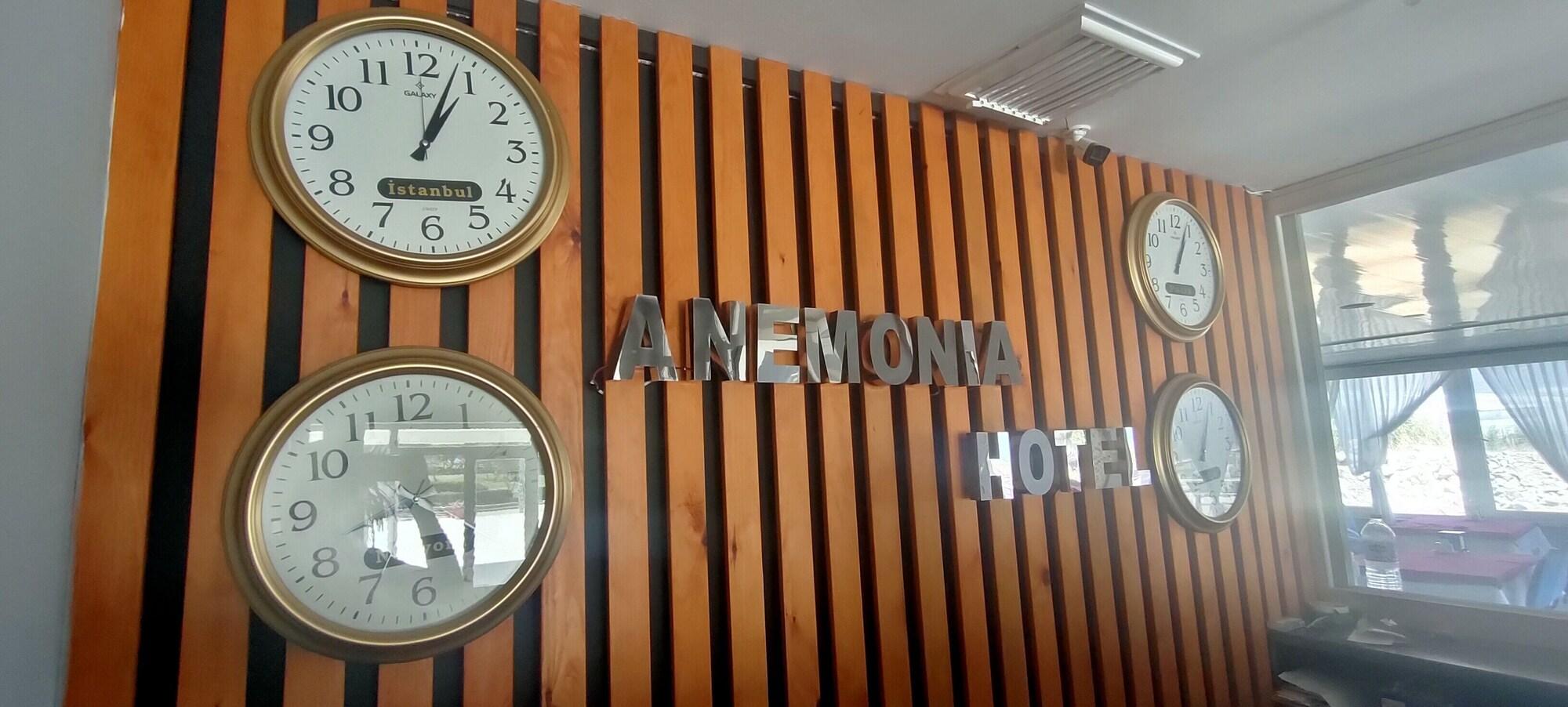 Vista Lobby Anemonia Hotel