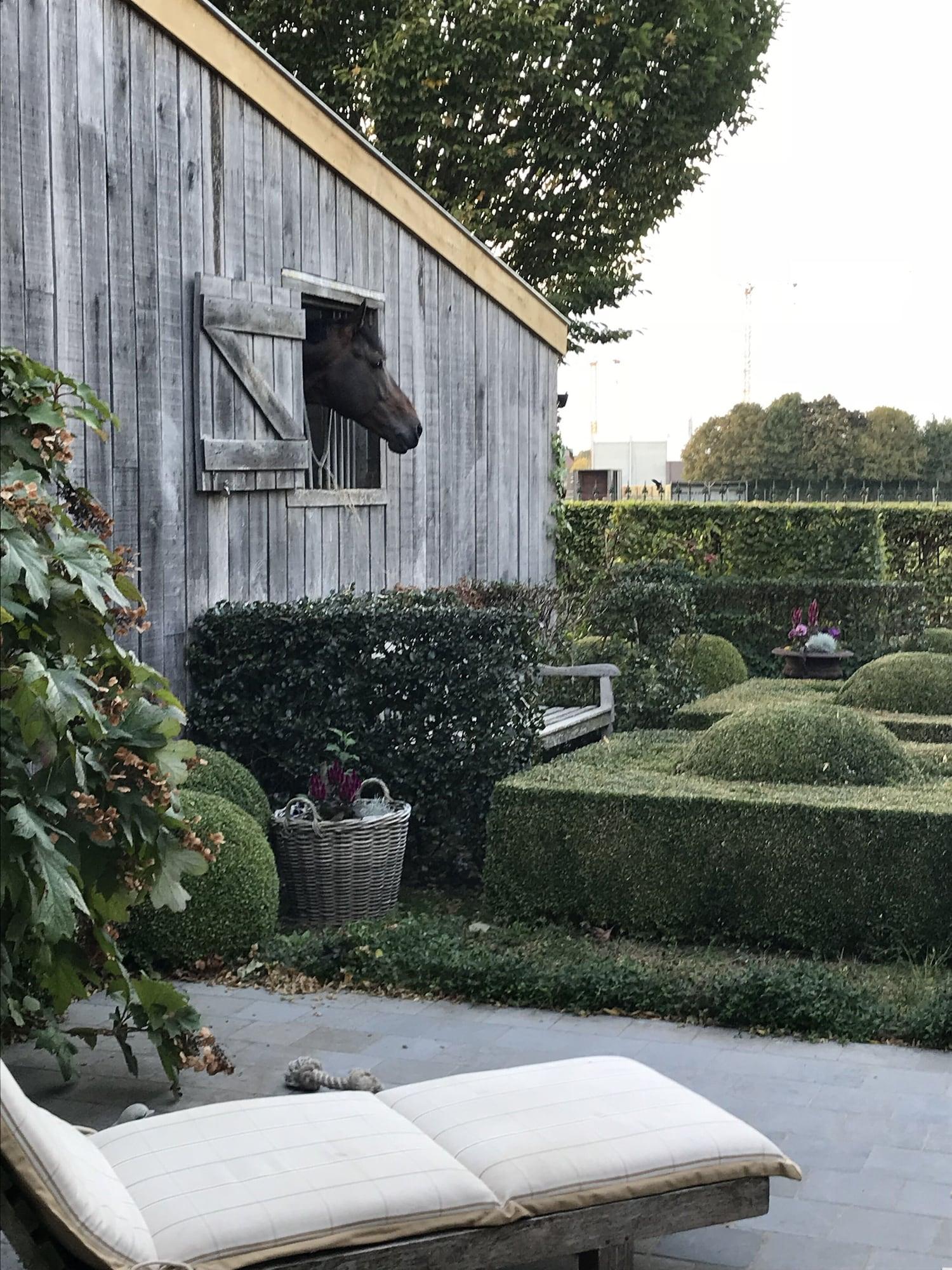 Vista Exterior t Welthof