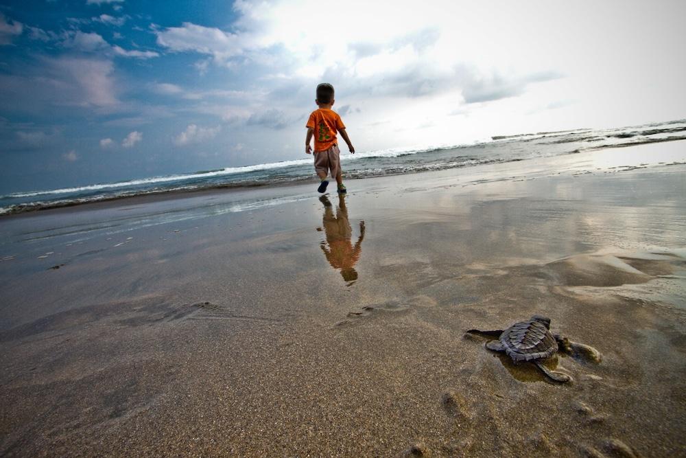 Instalaciones Recreativas Roberto's Bistro