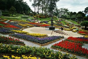 Actividad - Excursión de día completo a Doi Tung y el Triángulo Dorado