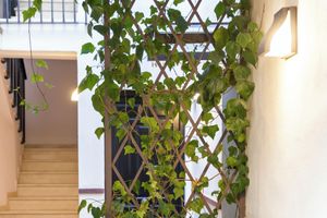 Alojamiento - Casa Lavanda