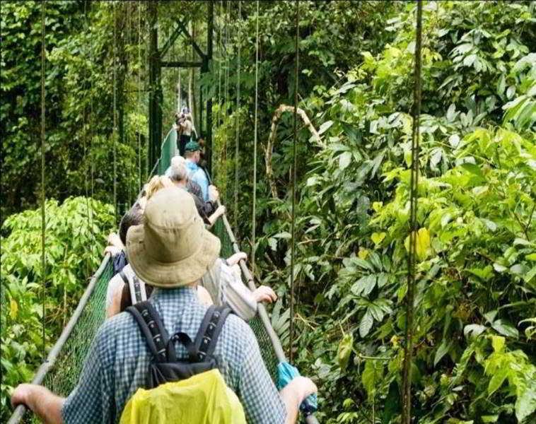 Instalaciones Recreativas Tirimbina Rainforest Lodge