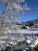 Alquiler Vacacional - The Hut, in the middle of the woods, not far from the waterfalls