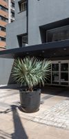 Alojamiento - Hotel 4 estrellas con Desayuno buffet