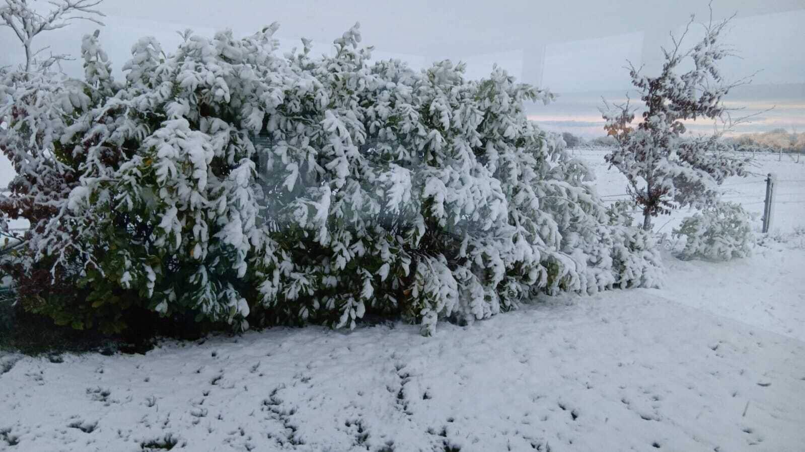 Varios Global Guest Ireland