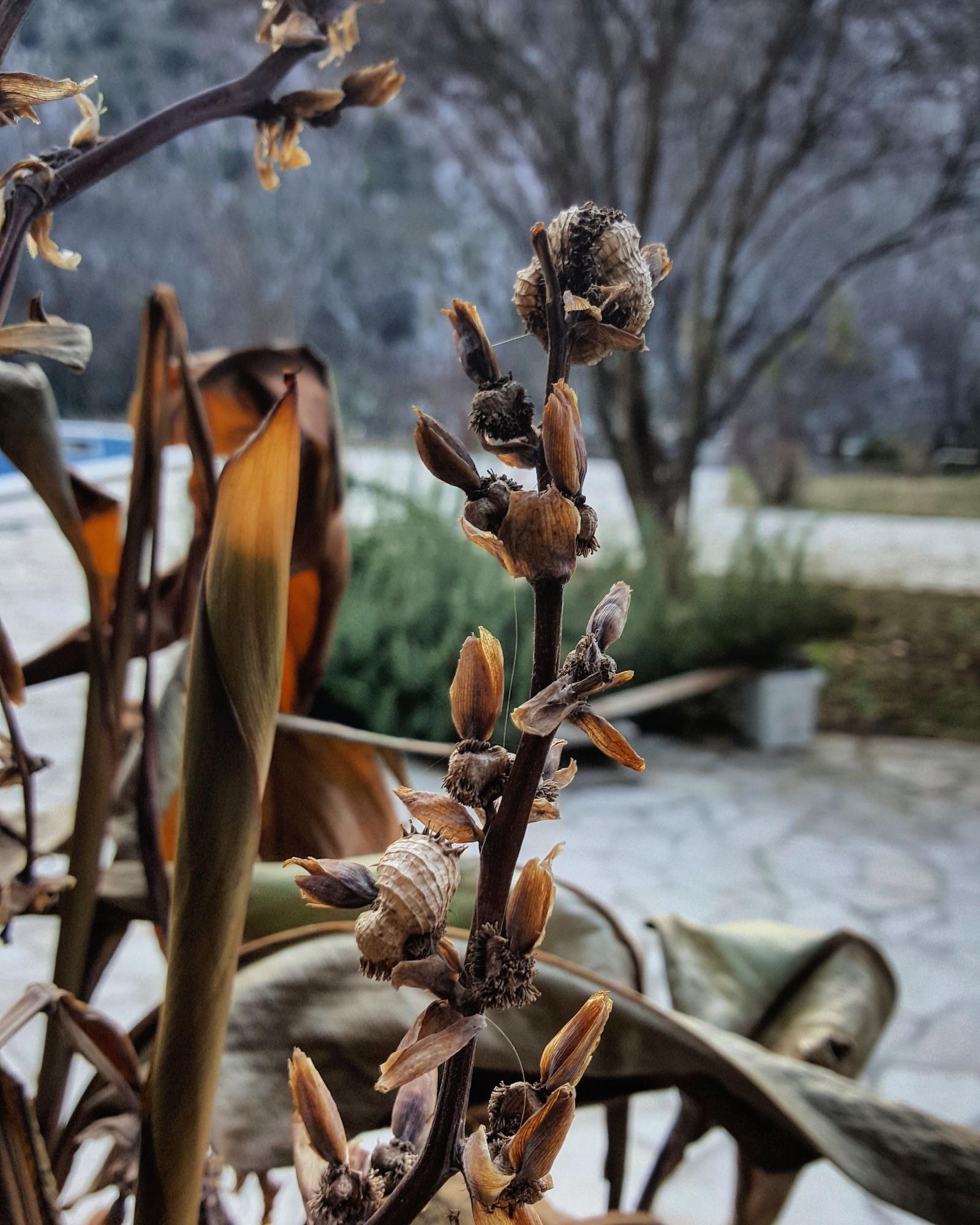 Vista Exterior Villa Velagić