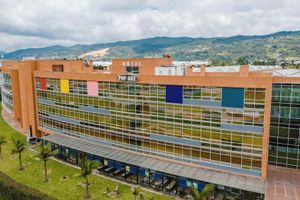 Alojamiento - Pop Art hotel