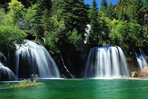 Actividad - Maravillas Naturales del Perené: Sumérgete en la Biodiversidad del Amazonas