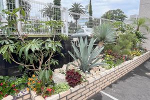 Alojamiento - MIYAZAKI MANGO HOTEL