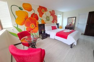 Alojamiento - Hotel Loja Bella