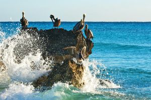 Paquete - Paquete a Riviera Maya