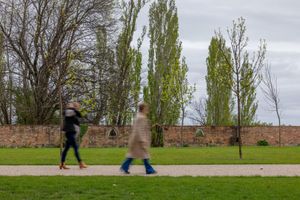 Alojamiento - Quamby Estate