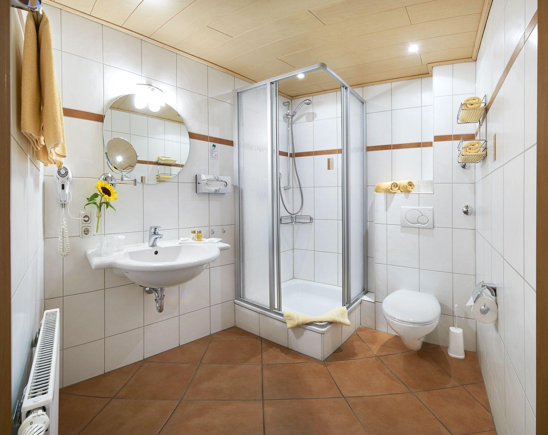 Habitación Hotel Hanauerhof