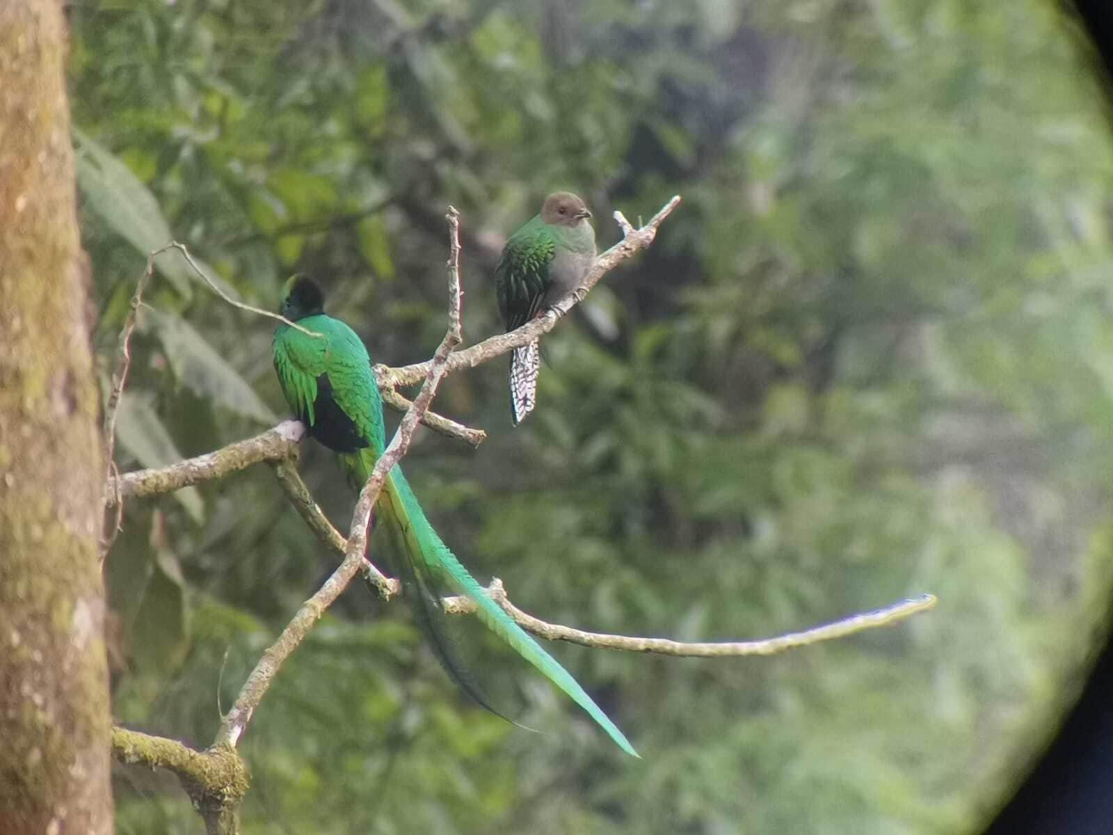 Vista Exterior Hosteria del Centro