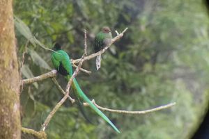 Alojamiento - Hosteria del Centro