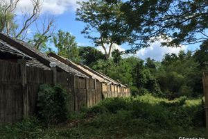 Alojamiento - La Natura Resort