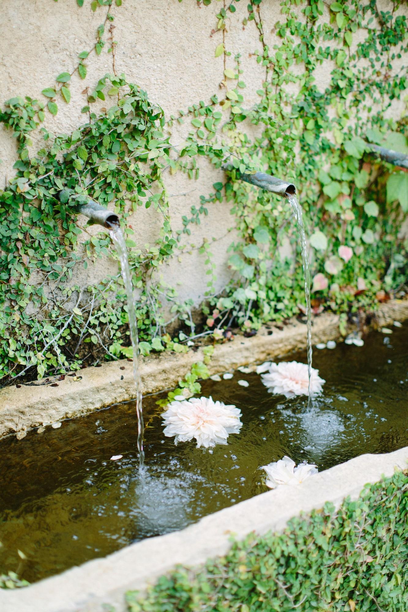 Vista Exterior Seven Branches Venue and Inn