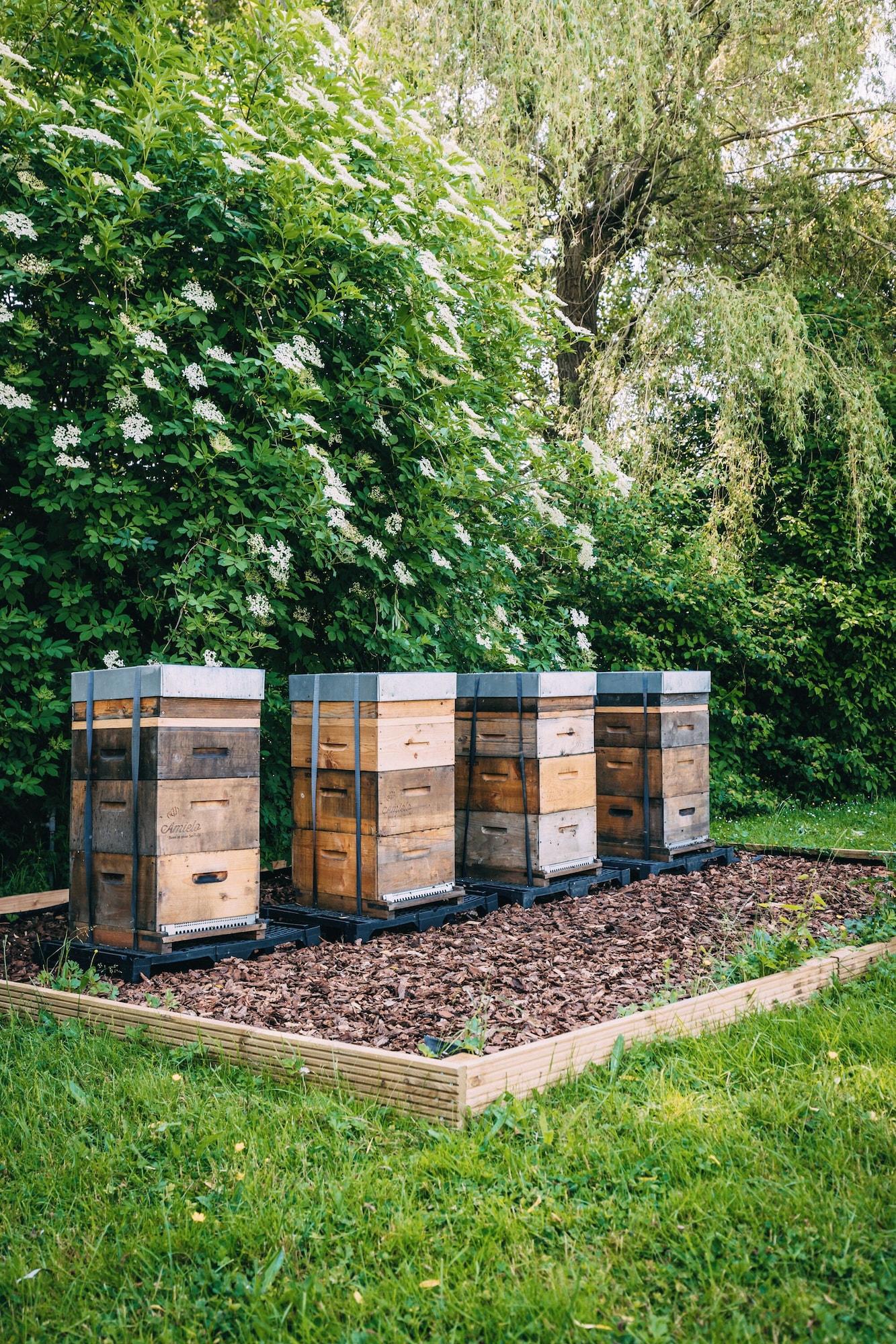 Vista Exterior Hotel Ter Elst