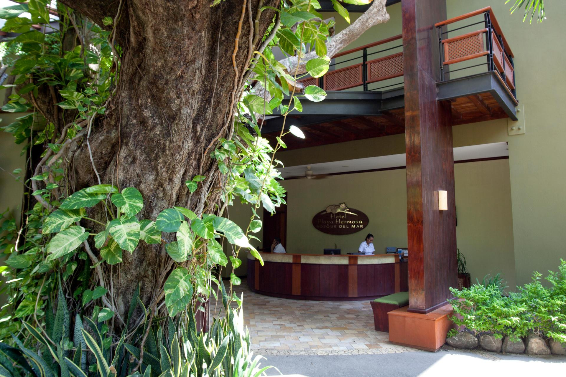Vista Lobby Hotel Bosque del Mar, Playa Hermosa