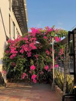 Alojamiento - Bianco Hotel