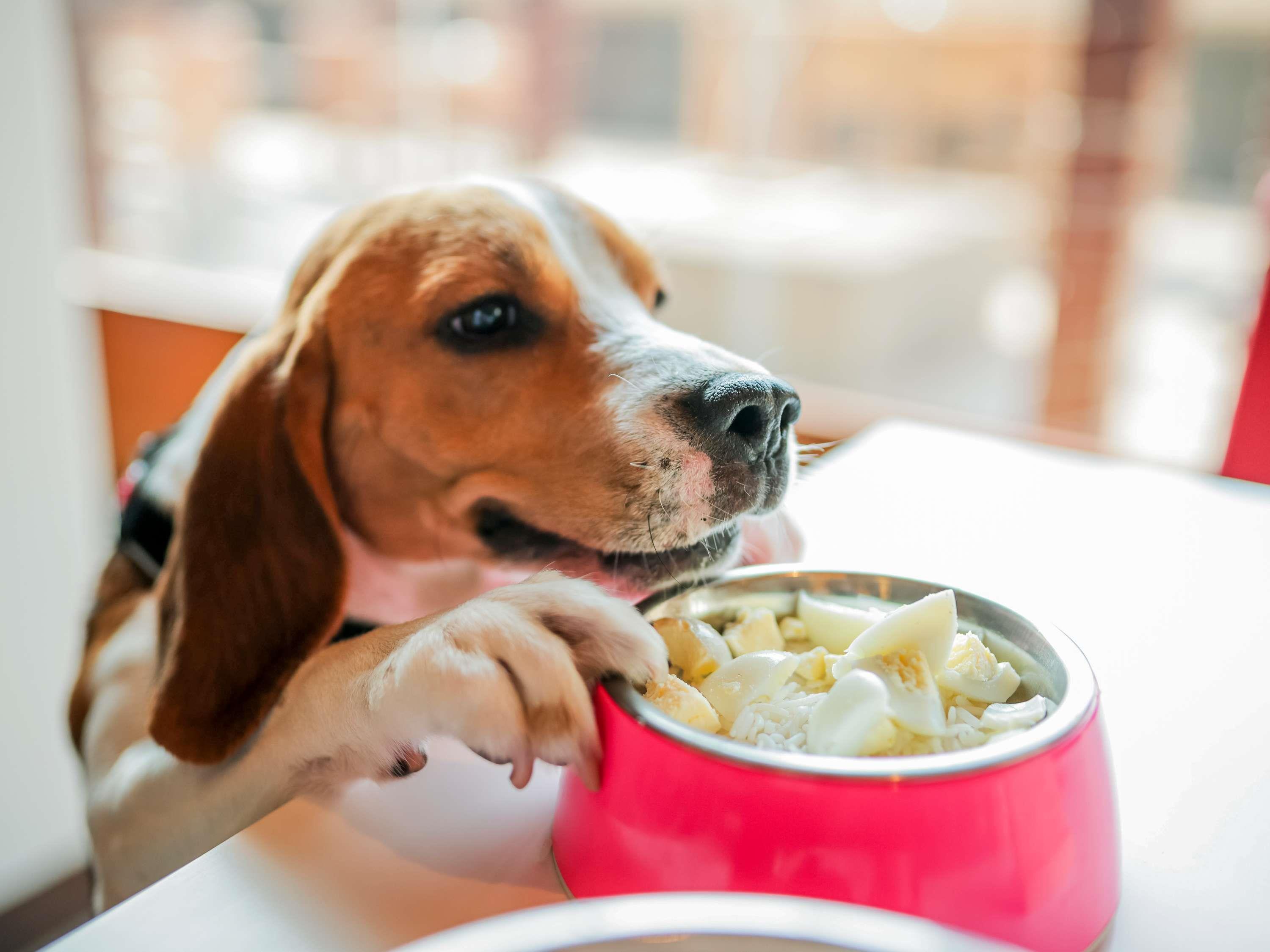 Vista Exterior ibis Lisboa Centro Saldanha