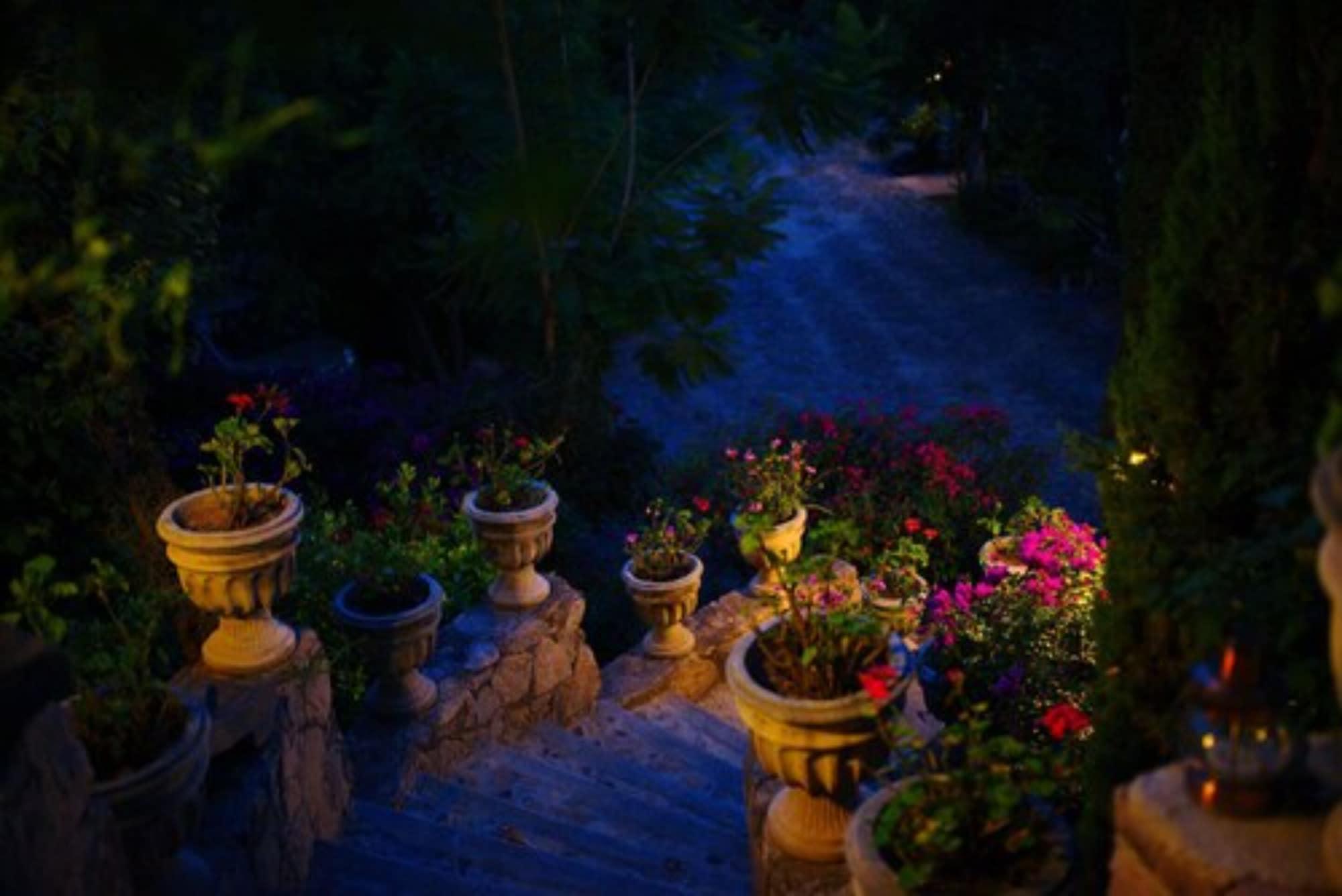 Comodidades del Alojamiento Casa Bugambilias Hotel Boutique