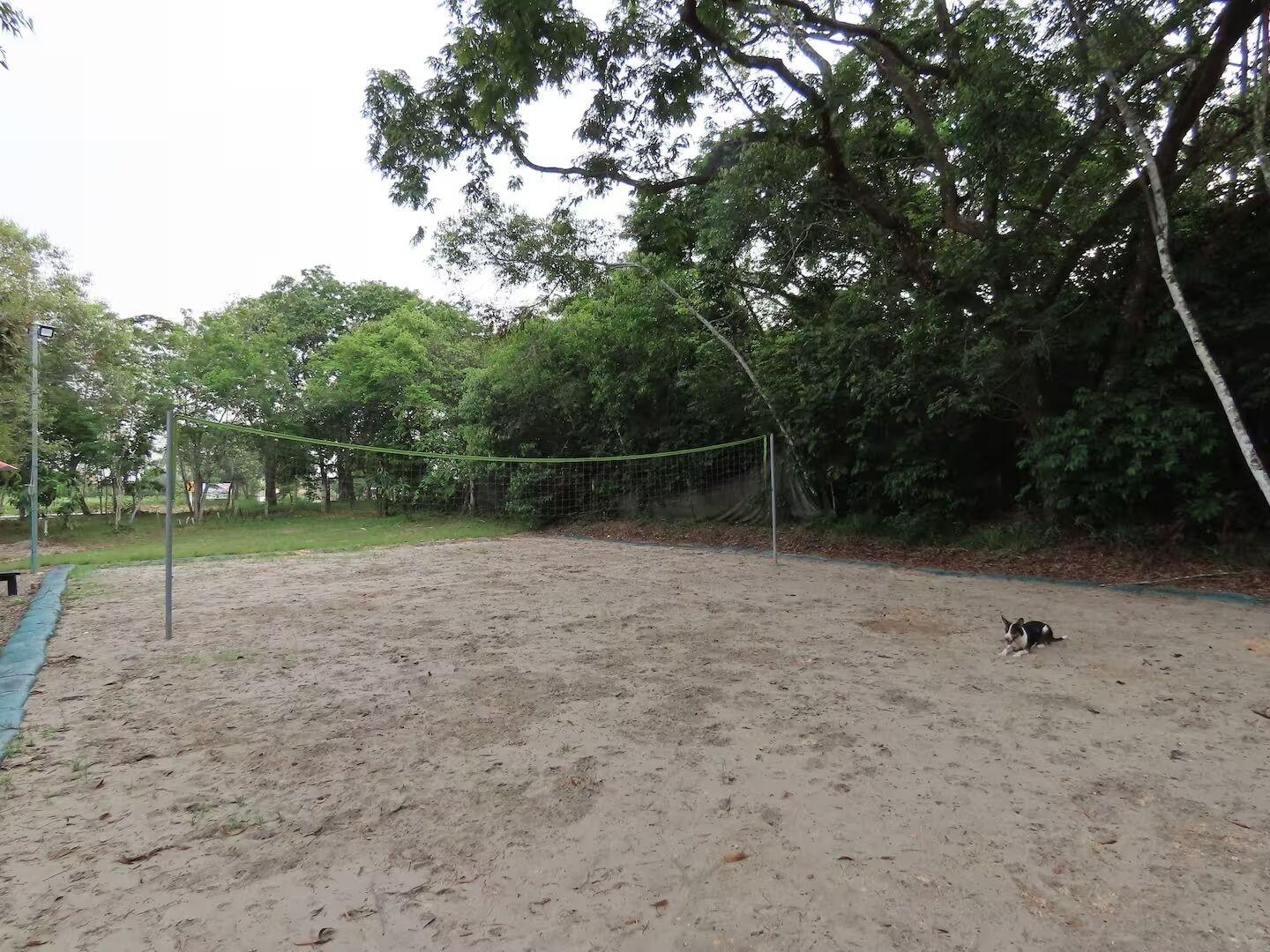 Varios MORICHE PURA VIDA