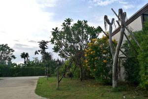 Alojamiento - On Green Resort