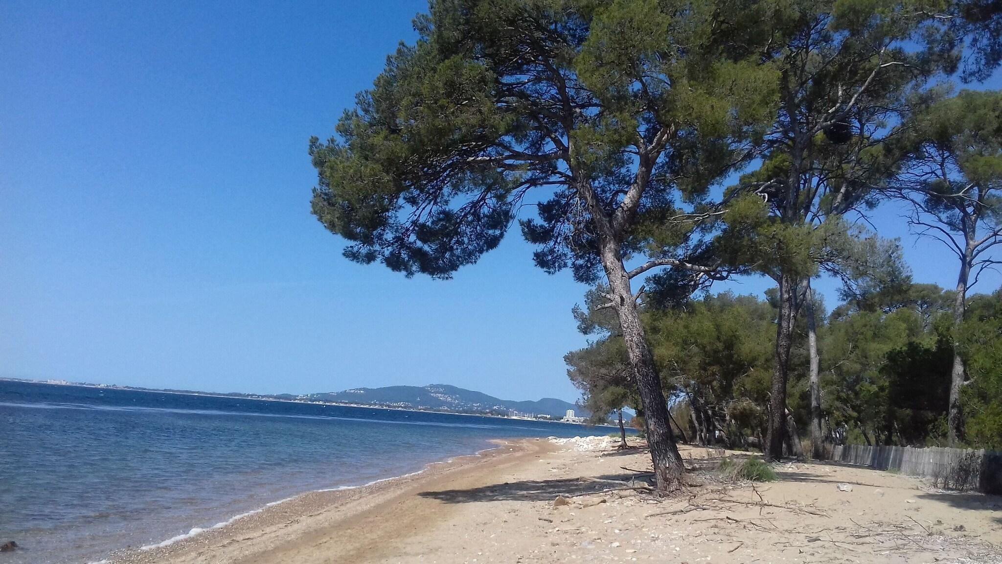 Playa Hôtel Notre Dame