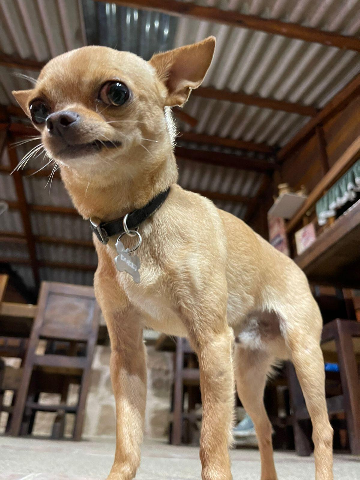 Comodidades del Alojamiento Finca Hostería Bella Aurora