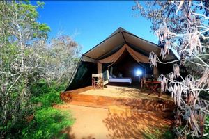 Alquiler Vacacional - Ruhunu Safari Camping