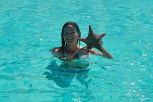 Alojamiento - Saint Francis Resort