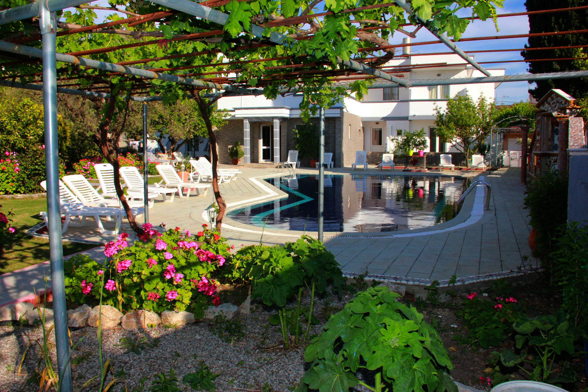Hotel Dimitra Sun Rhodos | Hoteles en Despegar