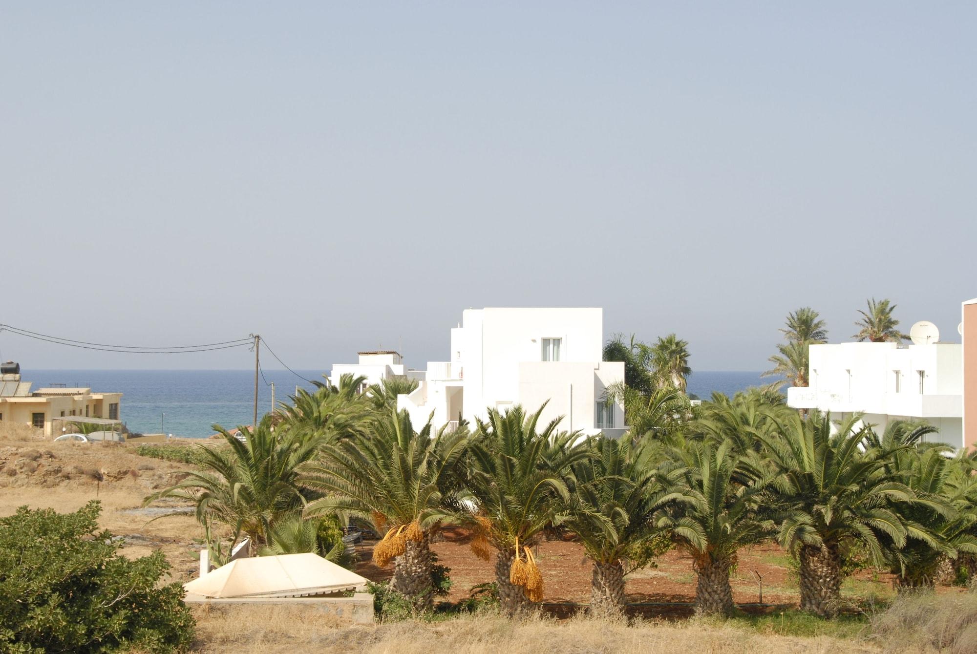 Varios Sunshine Garden