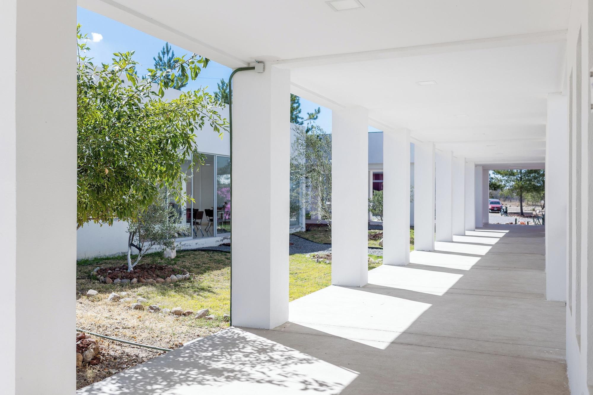 Vista Exterior Camino de Olivos