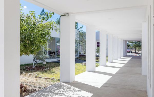 Camino de Olivos - Hoteles en San Miguel de Allende, Guanajuato: precios, zonas y ofertas