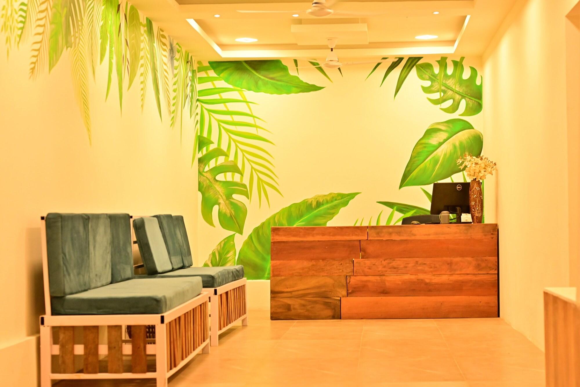 Varios Rest Nest - Havelock