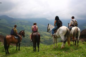 Actividad - Paseo a caballo