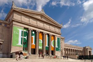 Actividad - Museo The Field