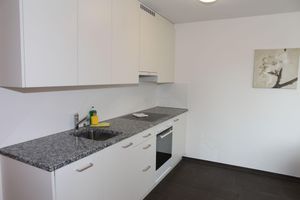 Renta Vacacional - Swiss Star Oerlikon District